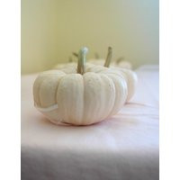 15 Mini White Pumpkins for Table Decor for late Summer or Fall Weddings | Etsy (US)