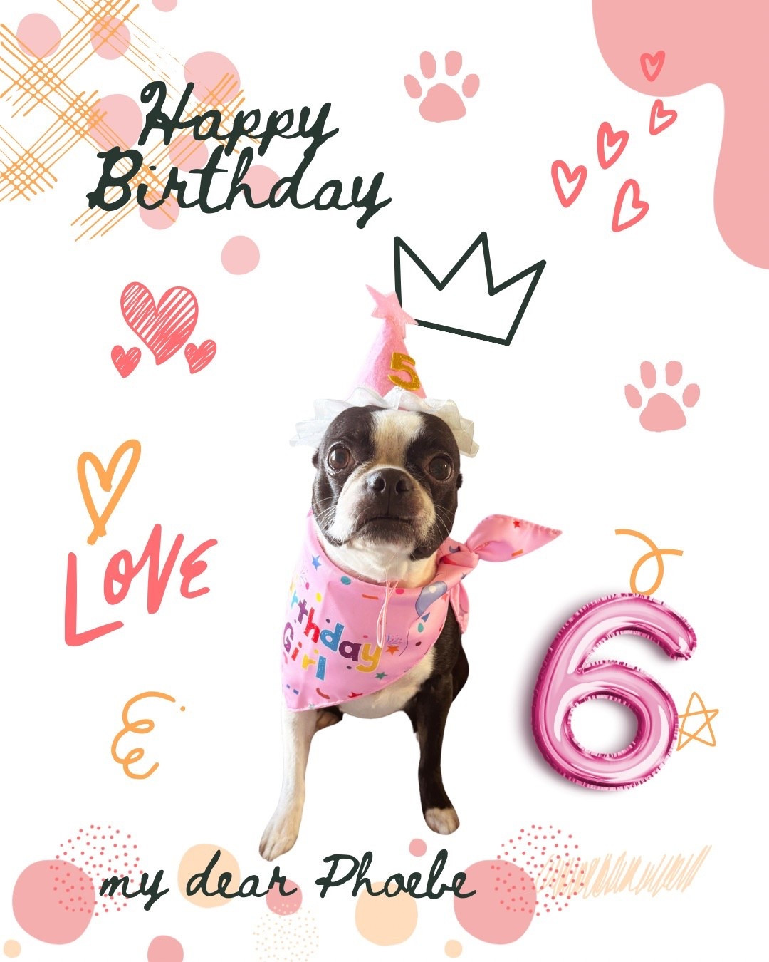 She’s not like other dogs… she’s the birthday girl 🎂🐾 All the extra touches (because yes, she’s spoiled) linked on my LTK 🛍️ Happy Birthday #6 to my Sweet Phoebe! 🐾#DogMomThings #LTKFinds #AmazonDogHaul #DogBirthday #Dog #Pets #Dogbirthdayparty