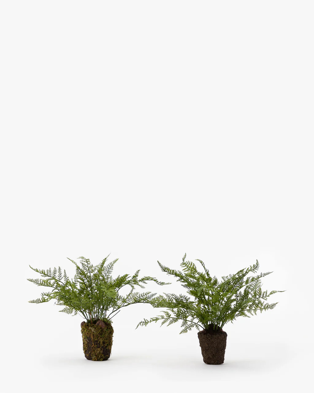 Faux Fern Drop-In | McGee & Co.