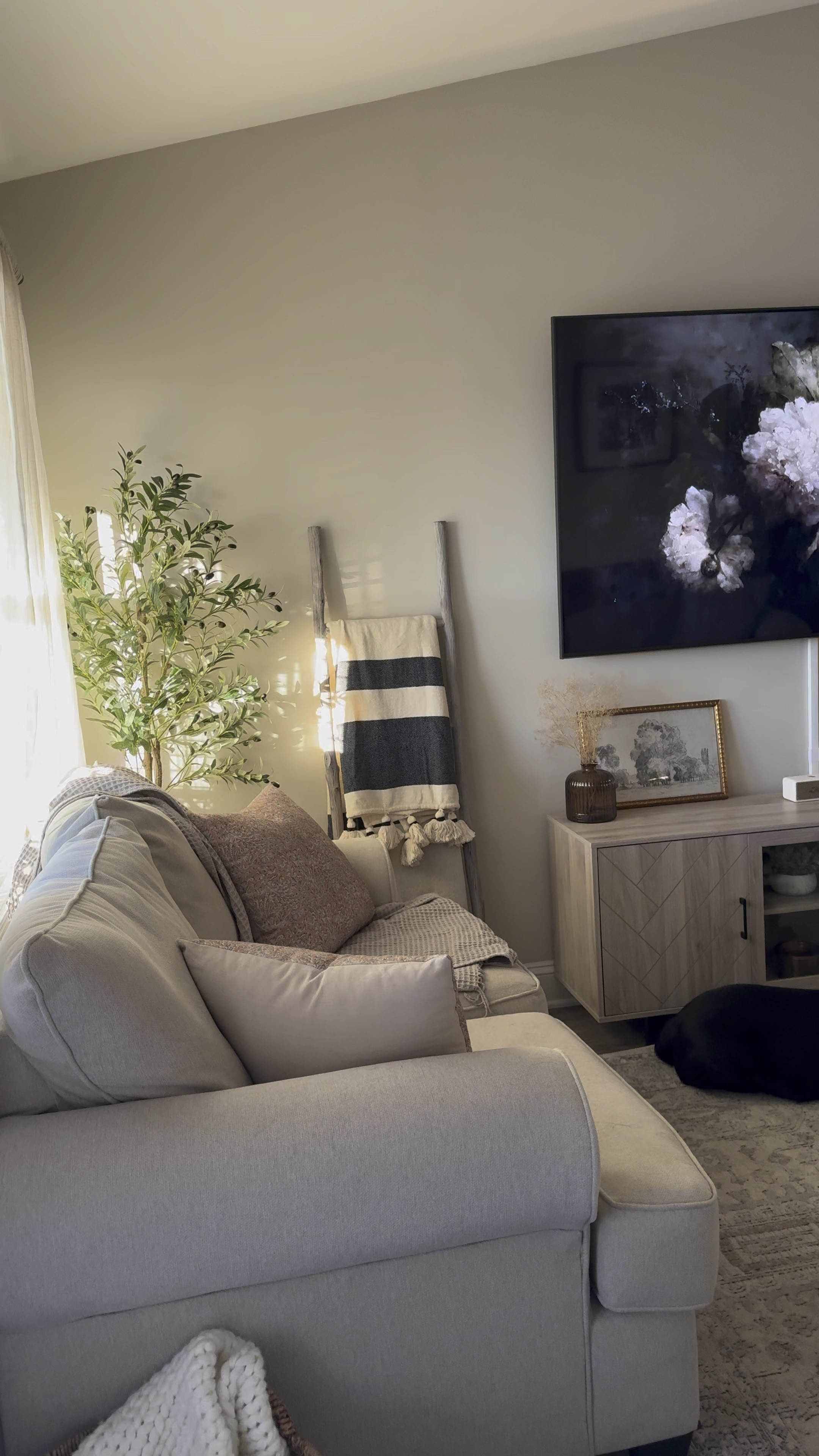 cozy apartment livingroom 🫶🏼



#LTKMostLoved #LTKGiftGuide #LTKhome