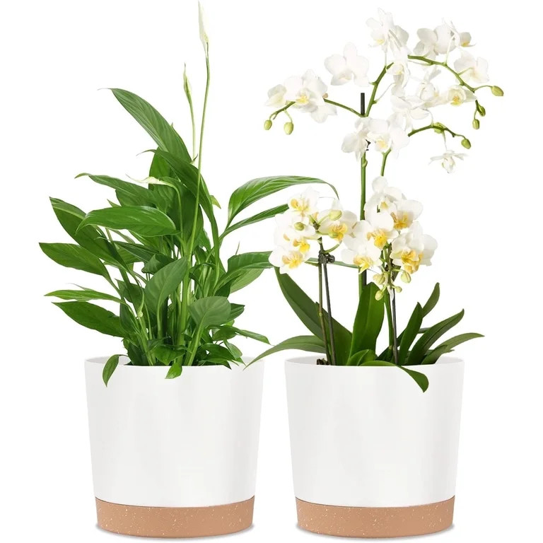 8 Inch  Planters for Indoor Plants, Plastic Flower Pots Plant Pots Indoor with Drainage Saucer fo... | Walmart (US)