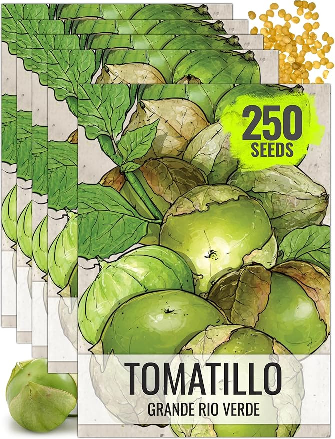 Seed Needs Tomatillo Seeds for Planting Grande Rio Verde Tomatillos - Non-GMO Heirloom & Untreate... | Amazon (US)