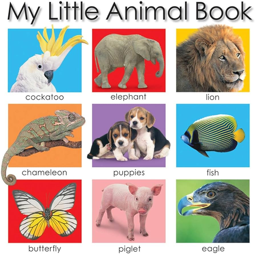 My Little Animal Book (My Little Books) | Amazon (US)