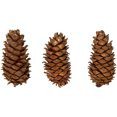 My Texas House Natural Brown Pinecones with Gold Glitter Tabletop Decoration Set, 8 in, 3 Count | Walmart (US)