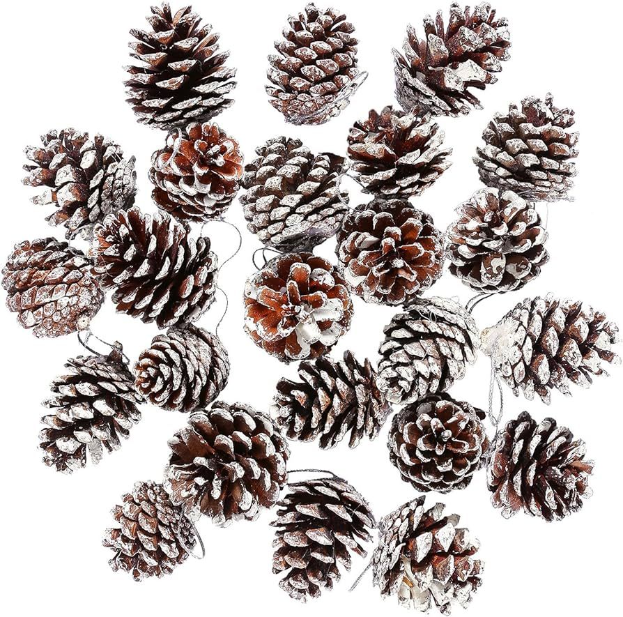 Cooraby 24 Pieces Christmas Pine Cones Ornament Natural PineCones with String Pendant Crafts for ... | Amazon (US)