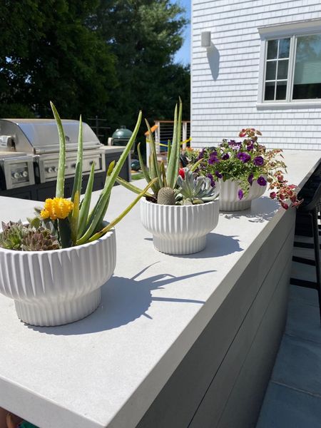 Beautiful, quality outdoor planters tend to be pricey, which is why I am freaking out that we found these gorgeous options at Walmart. Curated the best of the bunch in a shoppable list- there are options for every style here!

#LTKunder50 #LTKhome #LTKSeasonal