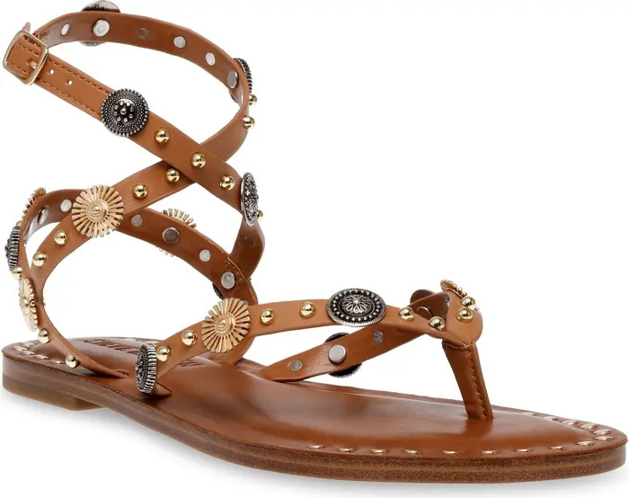 Steve Madden Recent Gladiator Sandal (Women) | Nordstrom | Nordstrom