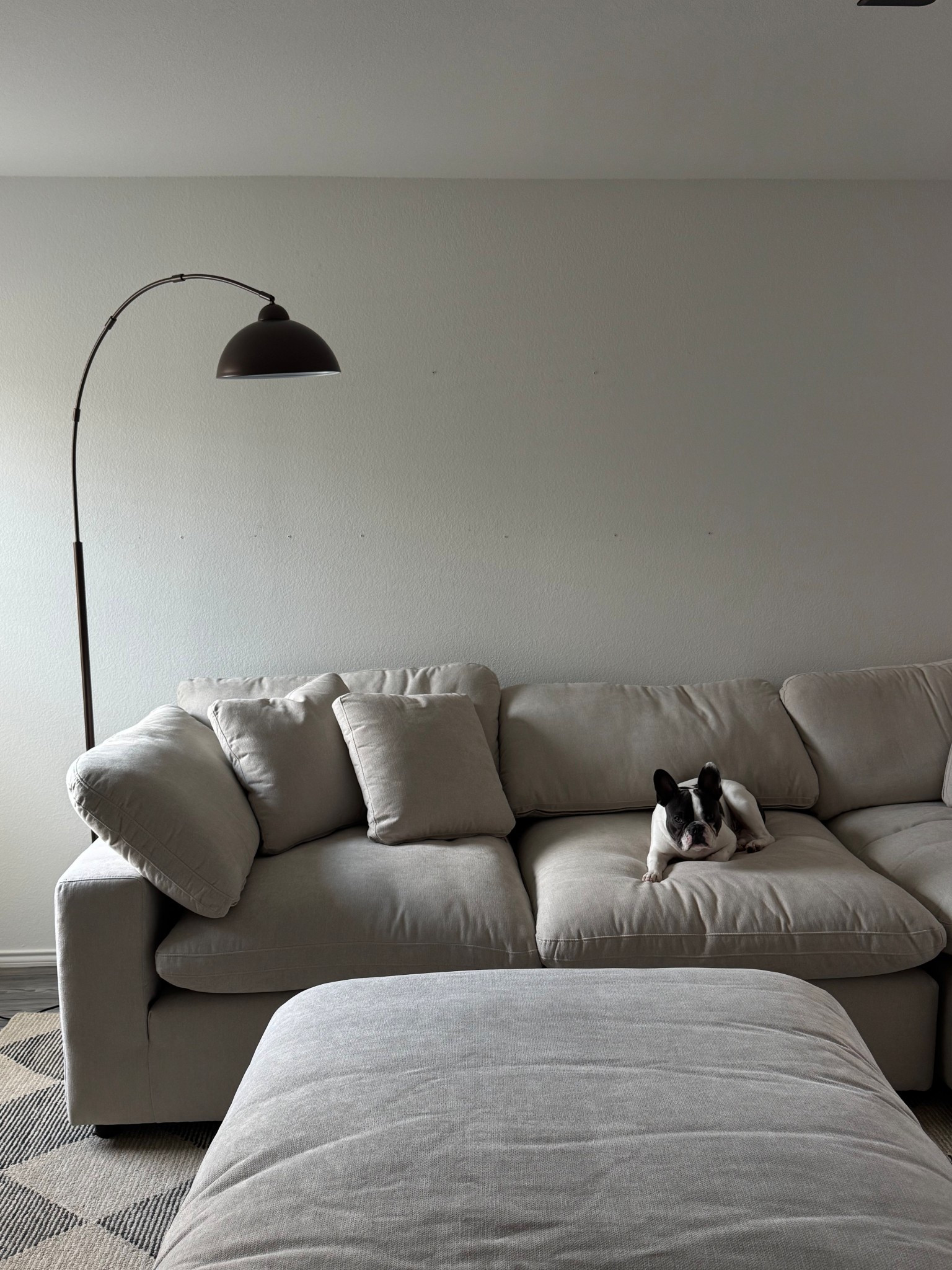 living room setup! 

couch is the cloud couch from living spaces! 