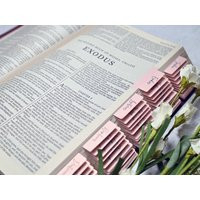 Pink Bible Tabs Laminated, Double Sided - Standard & Catholic | Etsy (US)