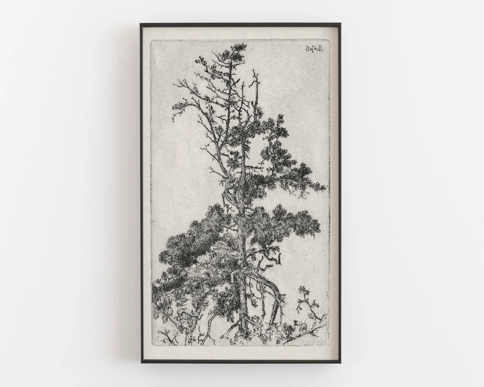 Nature art vintage tree drawing tree sketch vintage art | Etsy | Etsy (US)
