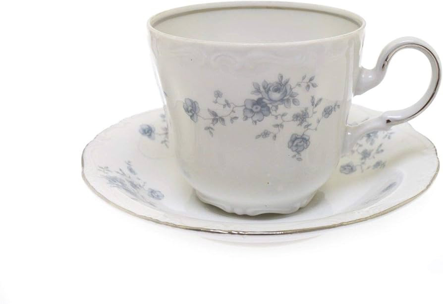 Blue Garland Bavaria Germany Cup and Saucer | Amazon (US)