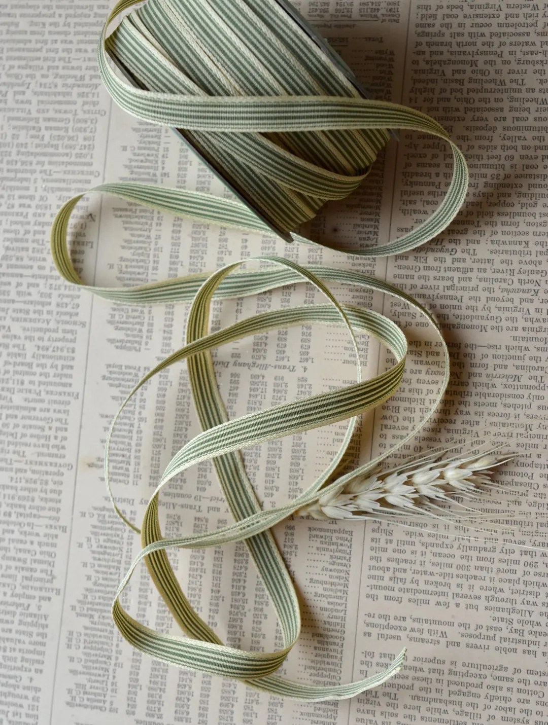 Loden Green and Beige Striped 3/8" Ribbon - Etsy | Etsy (US)