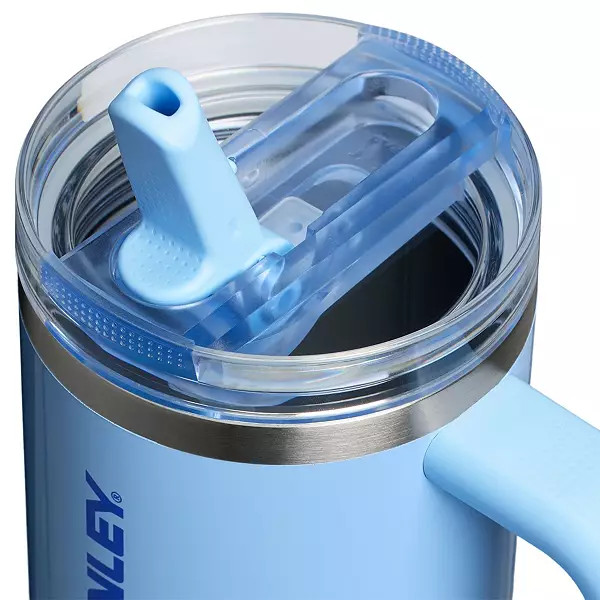 Stanley 30 oz. Quencher ProTour Flip Straw Tumbler - Oasis Collection | DICK'S Sporting Goods