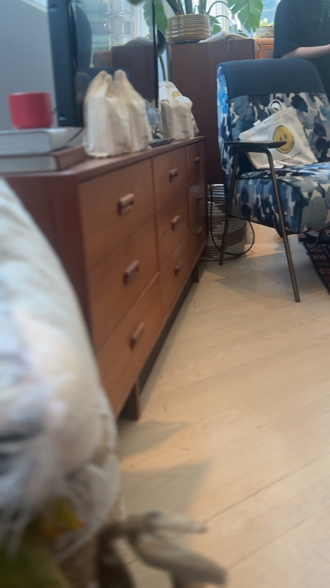 the Mixsoon private beauty class: featuring all the amazing Mixsoon products 🌿 I loved learning about how their ingredients are vegan and sourced ethically, as well as how their Centella is the highest quality possible!! thank you so much Mixsoon for having me 🤭

#beauty #koreanskincare #mixsoon #kbeauty #kbeautyskincare #torontoinfluencer #toronto #skincareviral #mixsoonbeautyclass
#beautyclass #beautyevent

#LTKSummerSales #LTKBeauty #LTKVideo