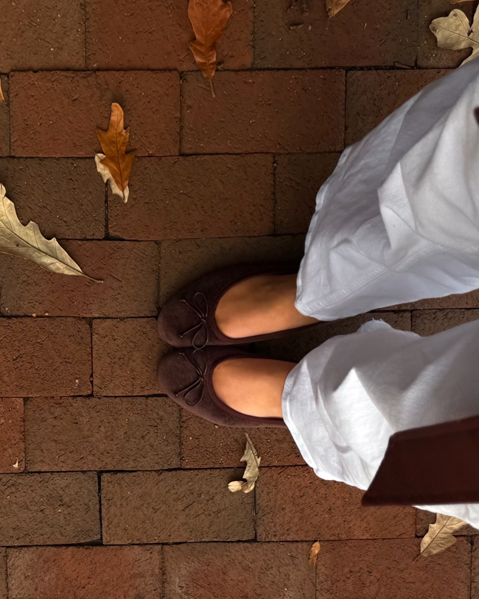 Flats, fall flats, brown flats, brown shoes, shoes for fall, brown suede, espresso brown, chocolate brown, shoes, affordable shoes, comfortable shoes, winter shoes, fall shoes, fall outfit 

#LTKStyleTip #LTKSeasonal #LTKWorkwear
