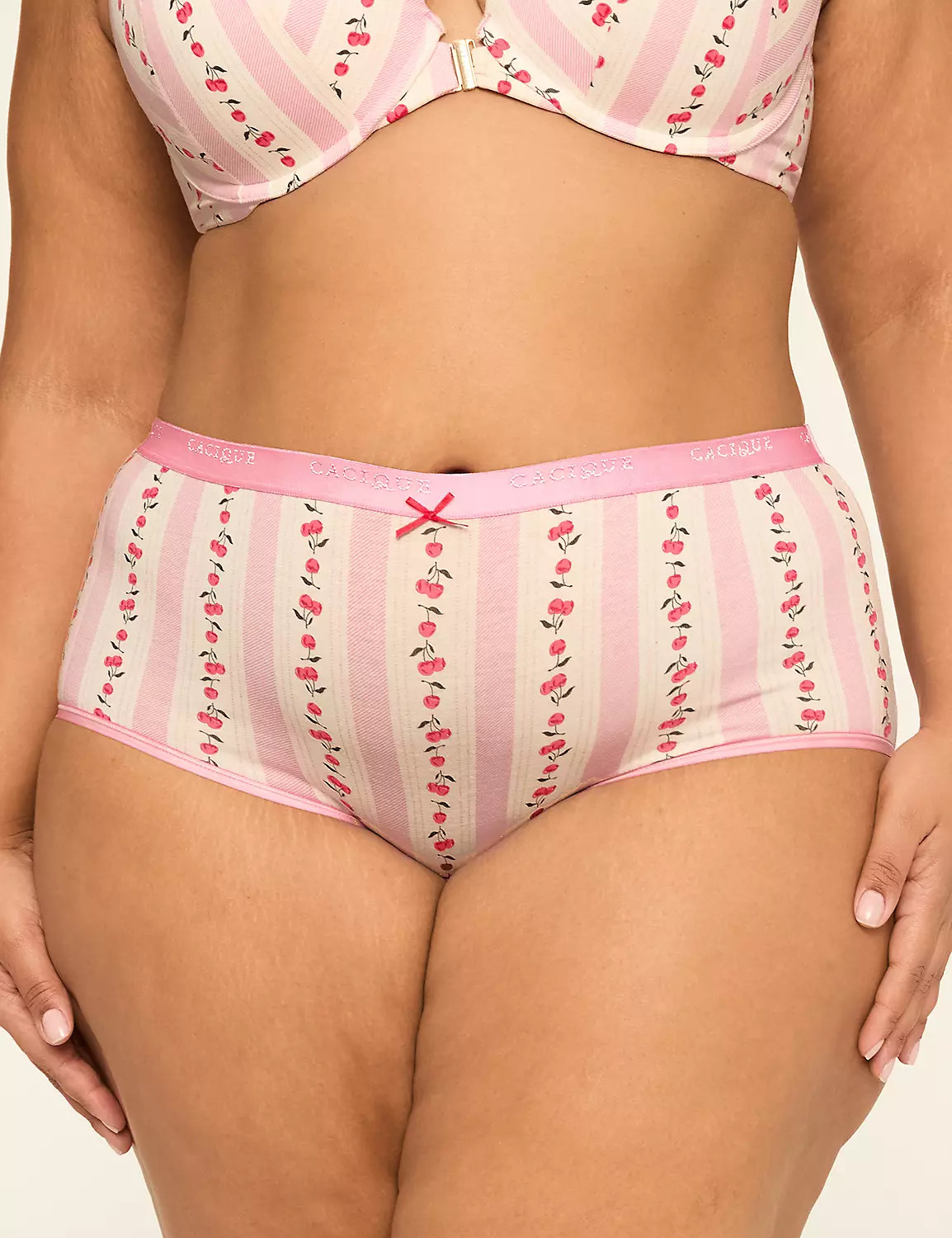 Cotton Full Brief Panty | Lane Bryant (US)