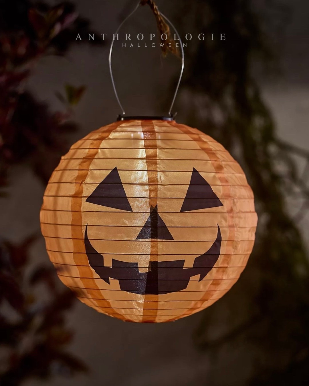 Love this solar powered jack o lantern

Anthropologie Halloween
Halloween decor

#LTKHome