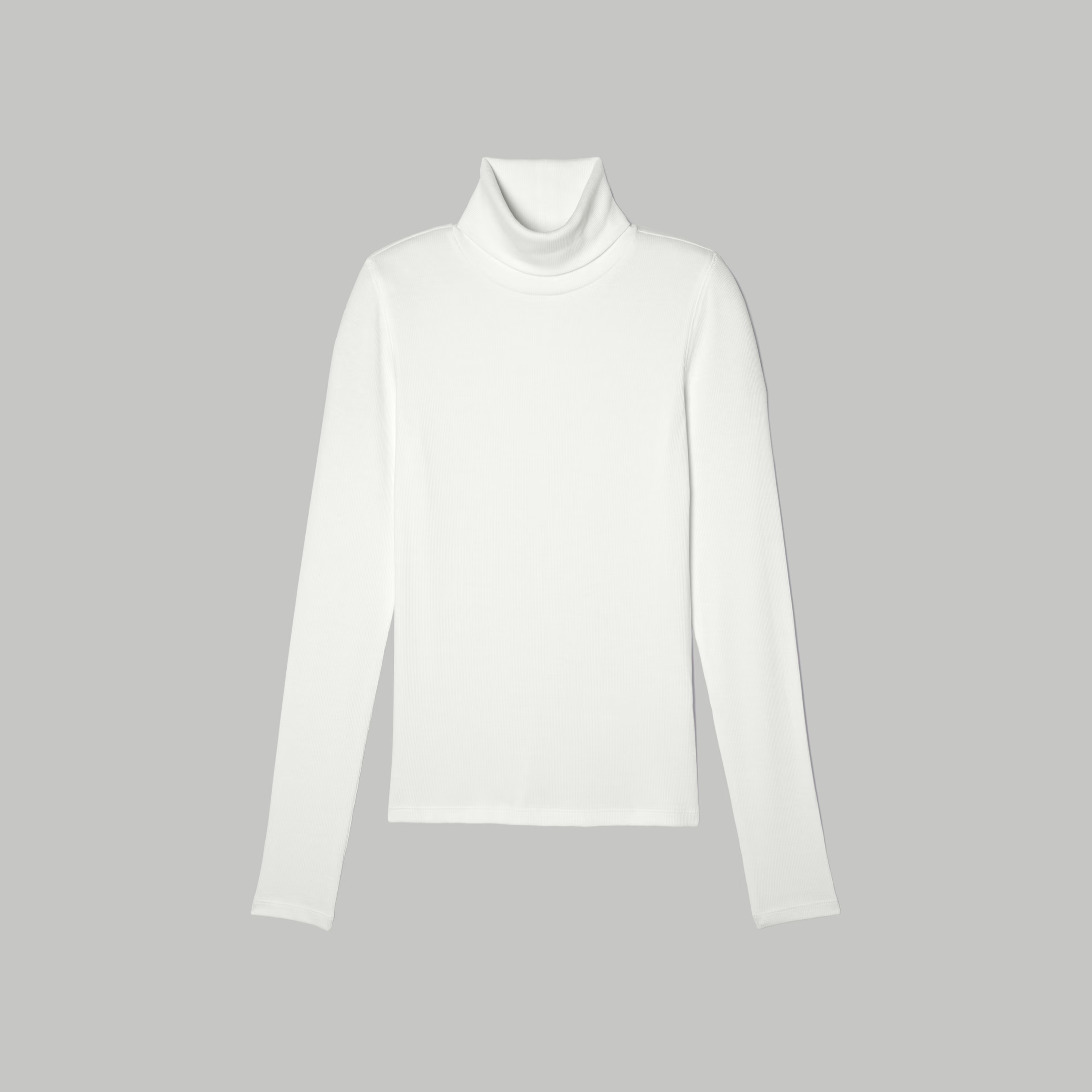 The Pima Micro-Rib Turtleneck | Everlane