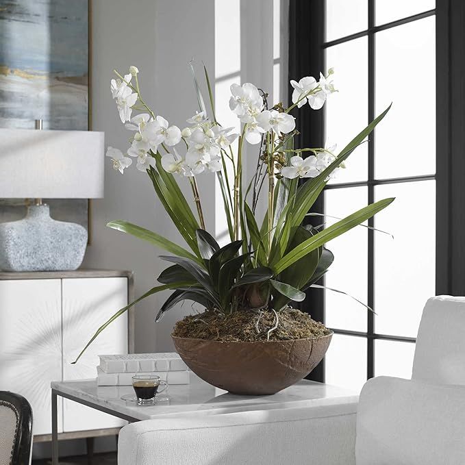 Moth Orchid Planter NM: 60039 | Amazon (US)