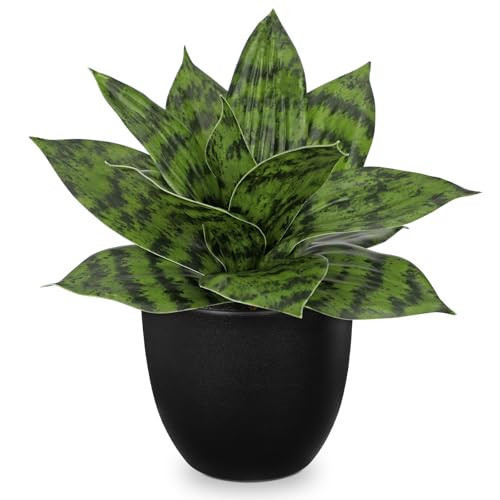 Hollyone Artificial Snake Plants 9" Faux Agave Succulent Plant Potted in Black Pot Fake Sansevieria Aloe Tropical Plant for Desk Modern Office Home Bathroom Indoor Outdoor Decor | Amazon (US)