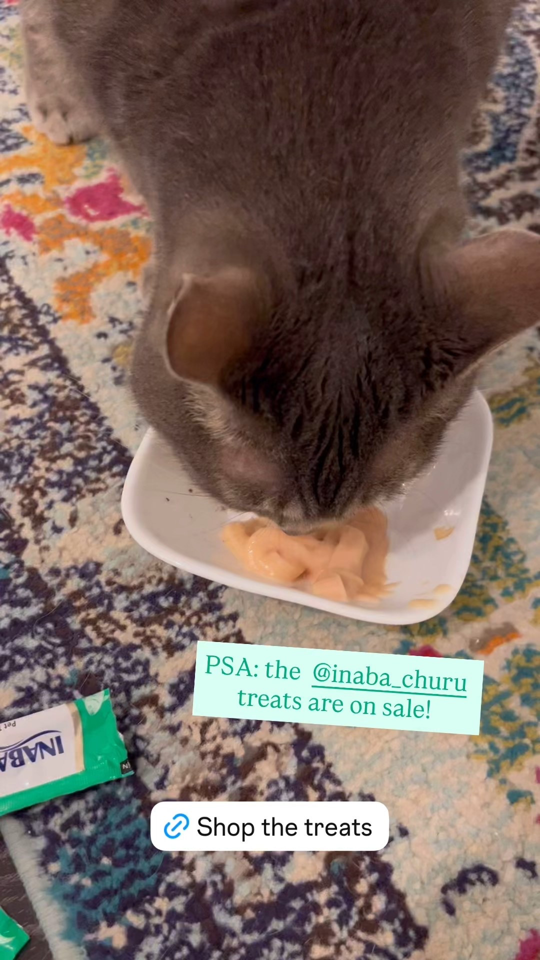 Bedtime treats for my cat Olivia with her favorite snack! 

#LTKSaleAlert #LTKPets #LTKFamily