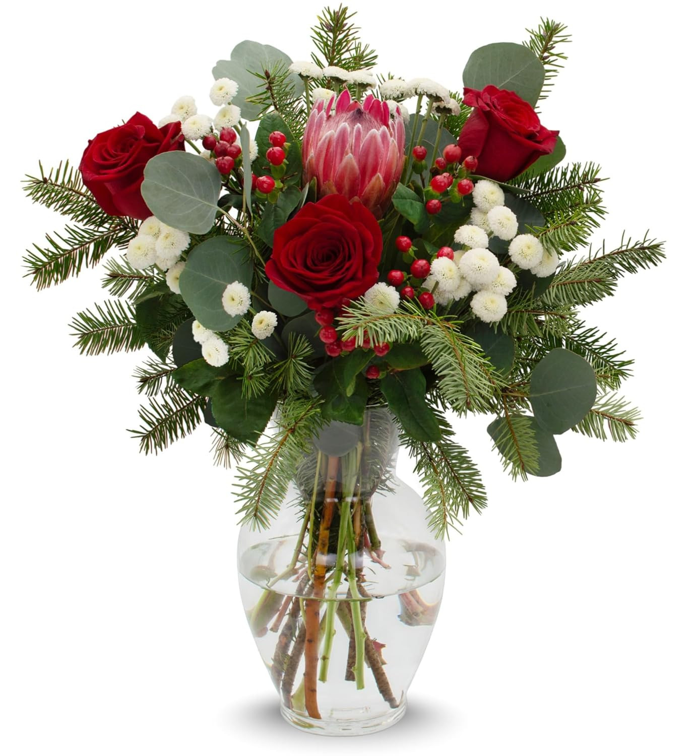 Stargazer Barn - Holiday Cheer Bouquet (Includes Glass Vase) - Fresh Flowers for Delivery - Gift ... | Amazon (US)