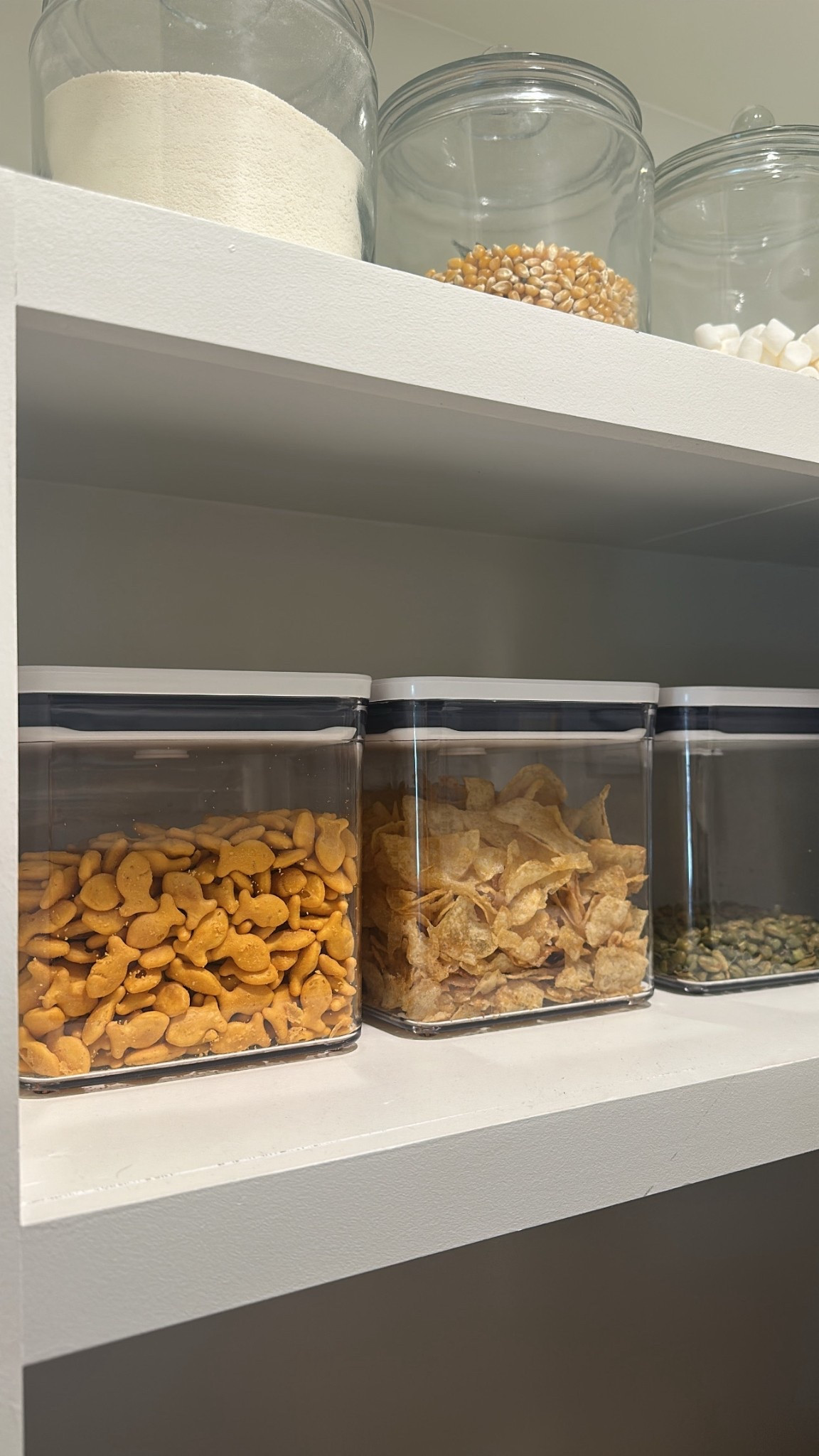 i love OXO containers for food storage. keeps things fresh and you can see how much you have left. 