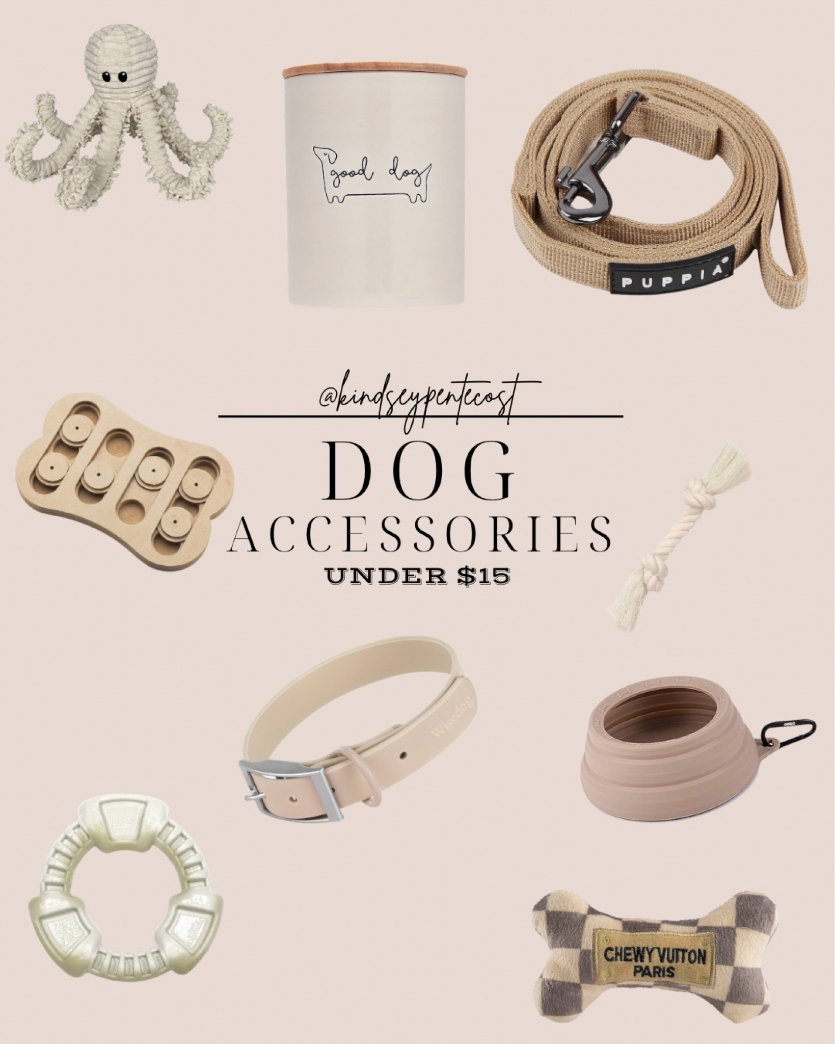 The cutest dog accessories for under $15 

#LTKSeasonal #LTKunder50 #LTKfamily
