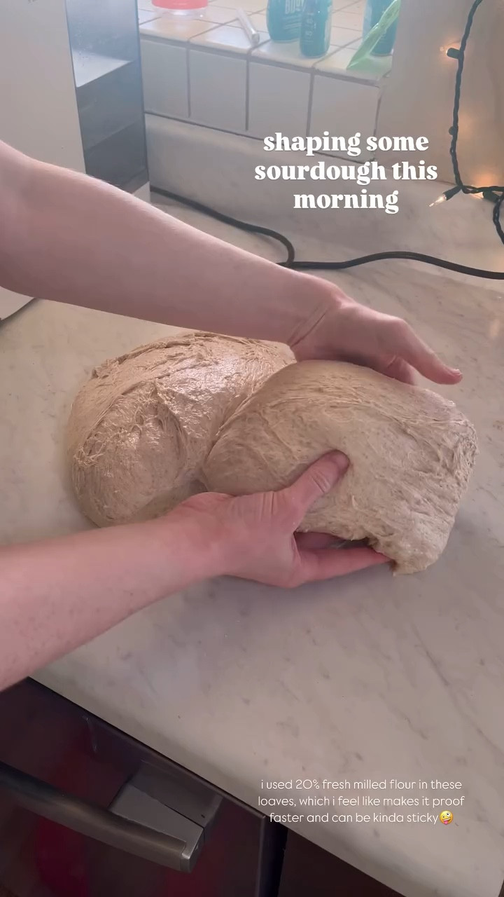 shaping my sourdough loaves for the weekend before christmas. i’ll link some sourdough supplies below + the grain mill that i use which is $50 off right now + my code GRACEKRAEM20 will save you an additional $20 at checkout!



#LTKSeasonal #LTKHome #LTKWatchNow