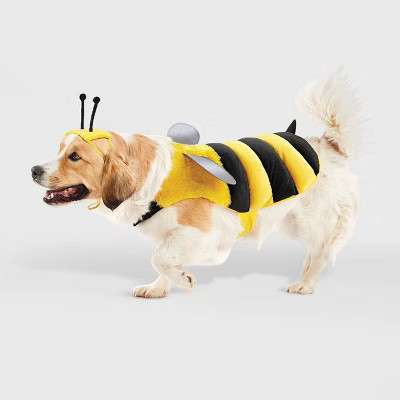 Bee with Reflective Wings Full Body Halloween Dog Costume - XL - Boots & Barkley™ | Target
