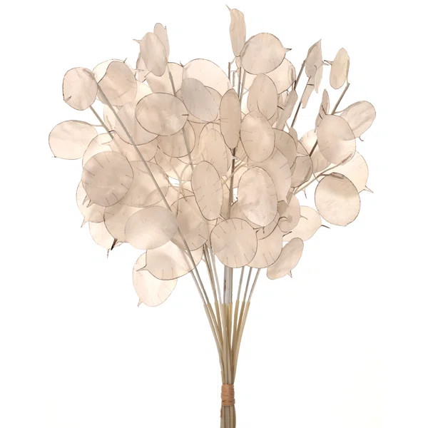 Coin Pod Stems Arrangement | Wayfair North America