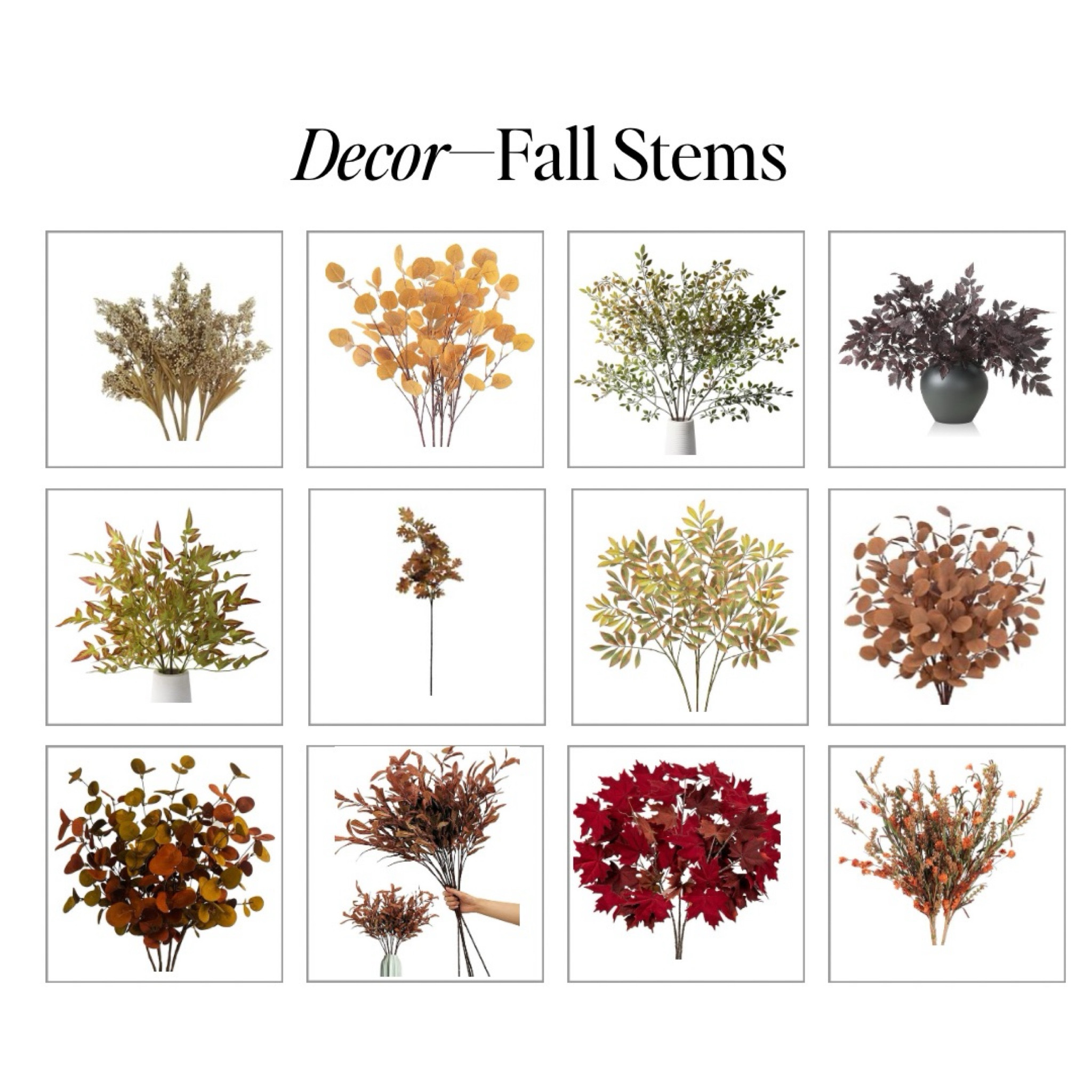 Need help picking the perfect stems for fall? 🍂 Let me guide you through choosing natural, earthy tones inspired by the beauty of the season! Say goodbye to unrealistic colors and hello to nature's palette. 🌾✨ #FallDecor #NaturalVibes #AutumnInspo #InteriorDesignTips


