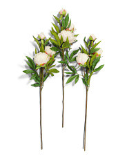 Set Of 3 29inch Peony Flowers | TJ Maxx