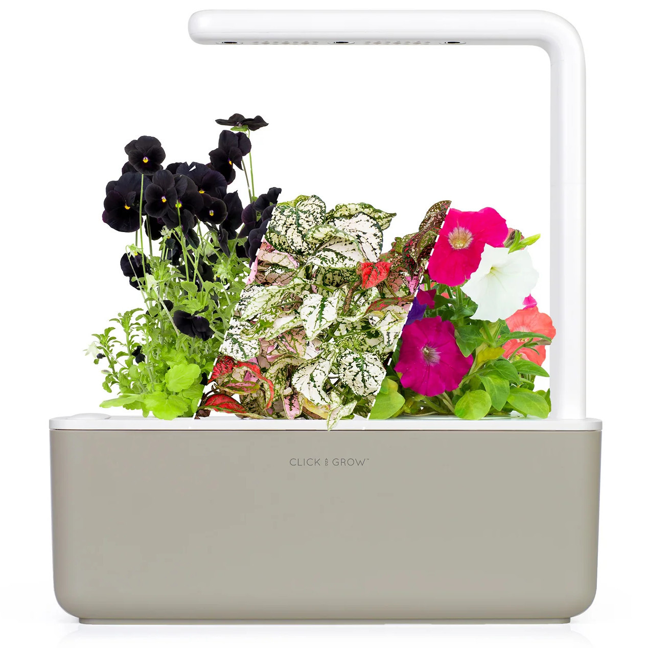Click & Grow Indoor Vibrant Flower Gardening Kit | Smart Garden 3 with Grow Light and 12 Plant Po... | Walmart (US)