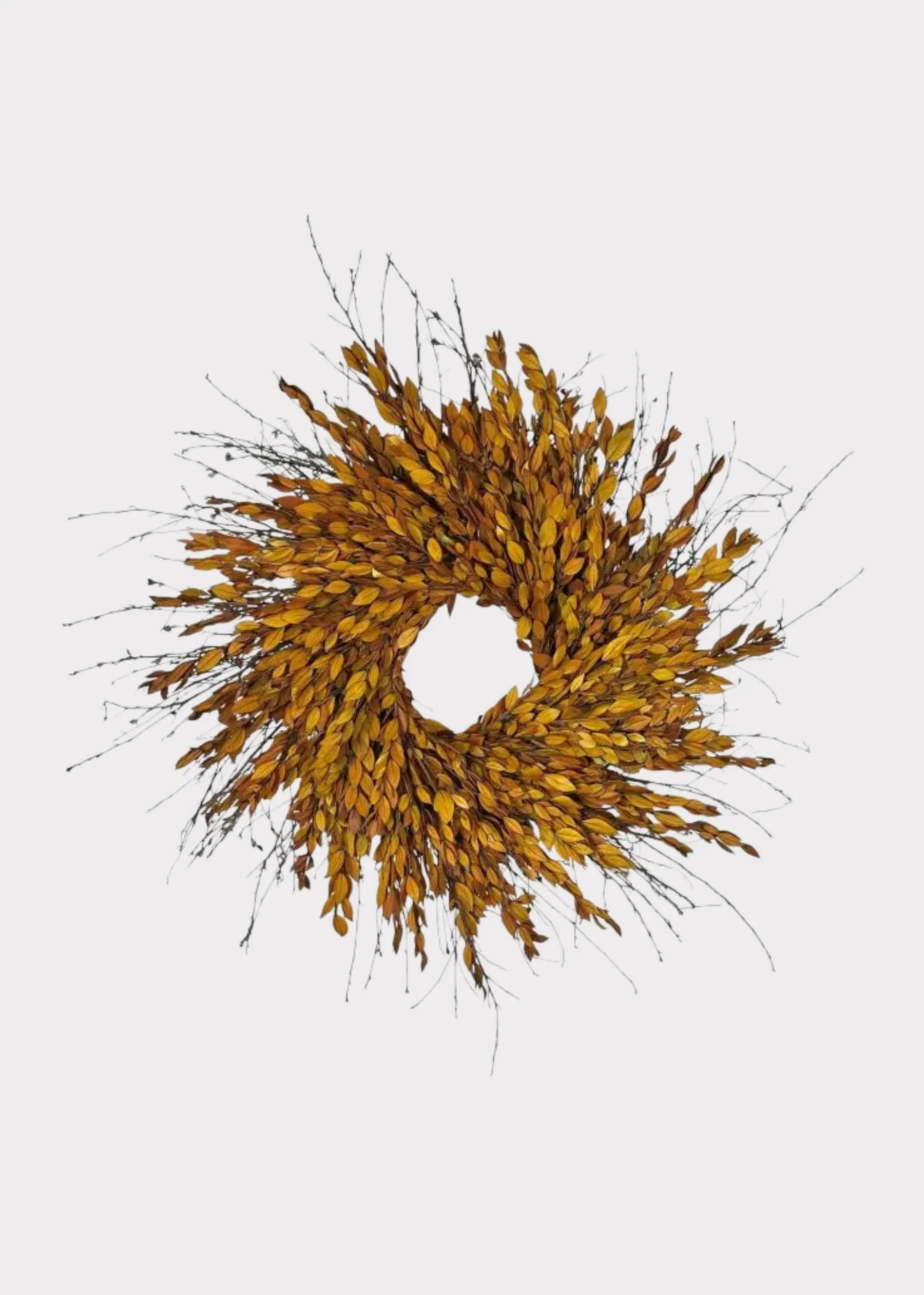Autumn Preserved Myrtle Leaf Wreath in Warm Amber Brown - 22" | Afloral