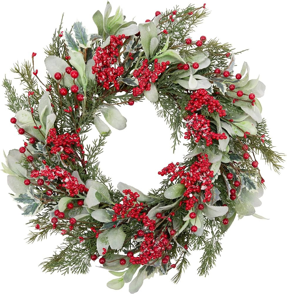 Skrantun 20 Inch Artificial Christmas Wreath Door Wreath with Lambs Ear Leaves Winter Wreath with... | Amazon (US)
