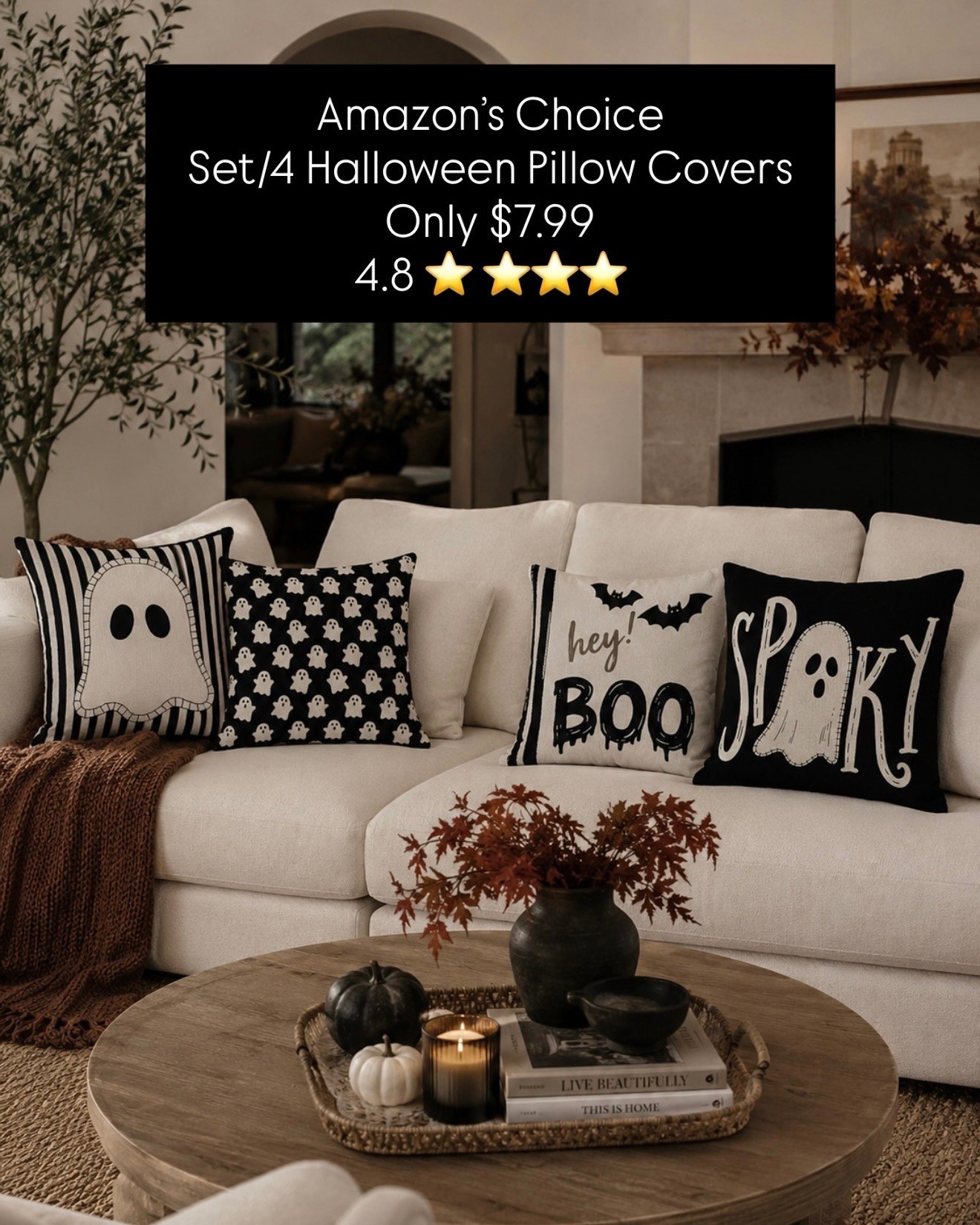 WHAT?! NO WAY! 🤯🤯
This set of 4 Halloween pillow covers is only $7.99! Such an easy way to give your couch a fun seasonal update without spending a fortune. It’s also an Amazon’s Choice pick with 200+ bought in the past month, so don’t be surprised if they sell out as Halloween gets closer.

Follow @farmtotablecreations on Instagram for more home finds and styling inspiration.

#AmazonFinds #HalloweenDecor #HalloweenPillows #CozyHome #SeasonalDecor

#LTKSeasonal #LTKHome #LTKSaleAlert