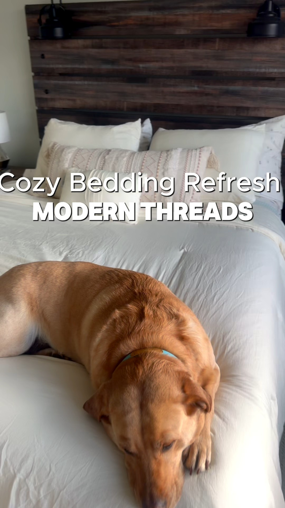 Winter bedding refresh ❄️🤍Cozy flannel sheets for cold nights + the softest silkiest comforter for that calm, hotel-bed feeling at home. And of course…Shelby approved 🐾💤#sponsored

#LTKHome