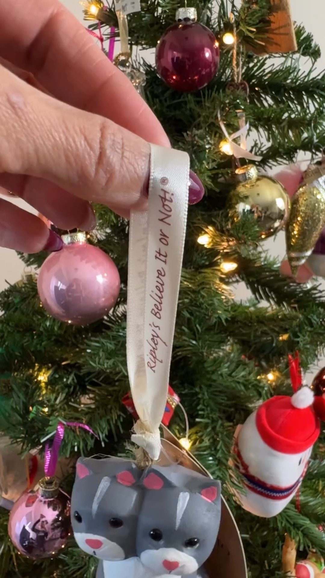 Unwrapping something strange and wonderful with Ripley’s Believe It or Not! felt so on brand for us at Sofisadventures. 

From a fun tree ornament and a new book to a cozy mug, some cute and wonderfully strange plushies, and shirts we cannot wait to wear, every item sparked curiosity and smiles.

That is what we love about Ripley’s. It is all about celebrating the unusual, learning something new, and sharing those wow moments together as a family. 

Whether it is the holiday season or a random adventure day, Ripley’s always brings a little magic, a little weird, and a lot of fun to our family time.

@ripleysbelieveitornot 

#LTKGiftGuide #LTKTravel #LTKvlog