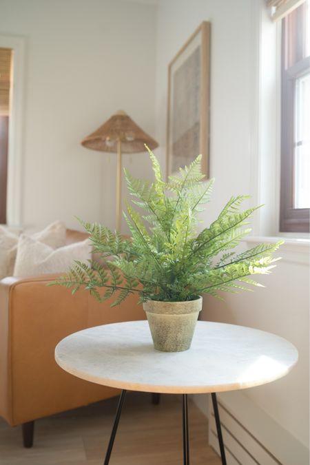 Artificial green potted fern from Walmart / the perfect combo with a marble side table! 



#LTKstyletip #LTKhome