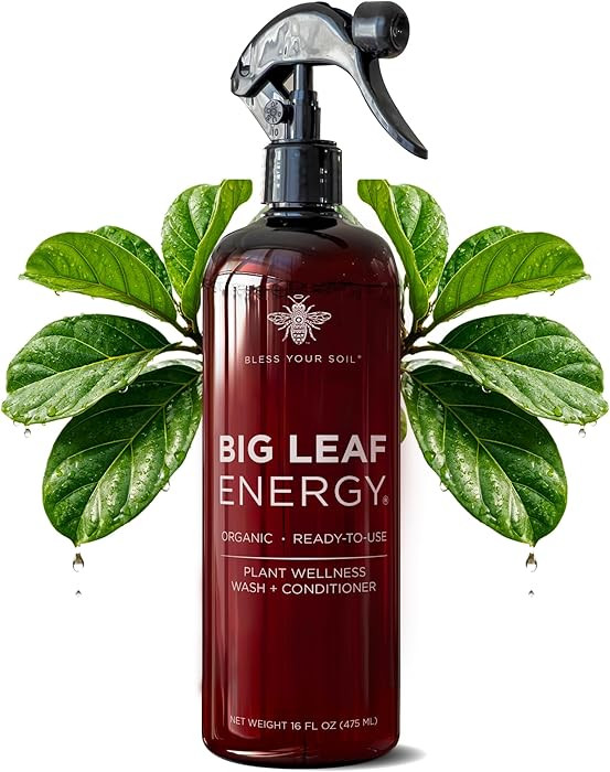 Neem Oil Spray for Plants – Big Leaf Energy, with Essential Oils – Ready-to-Use Plant Spray f... | Amazon (US)