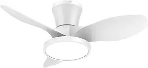 ocioc Quiet Ceiling Fan with LED Light DC motor 32 inch Large Air Volume Remote Control White for... | Amazon (US)