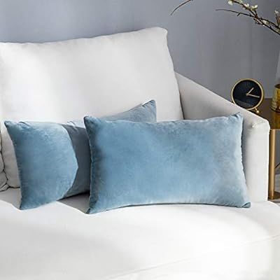 NANPIPER Set of 2 Velvet Soft Decorative Cushion Throw Pillow Covers 12x20 Inch/30x50 cm Cozy Sol... | Amazon (US)