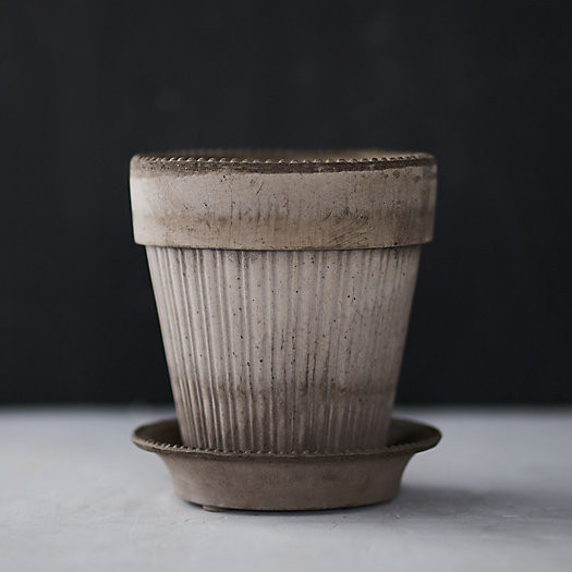 Bergs Dotted Pot + Saucer | Terrain