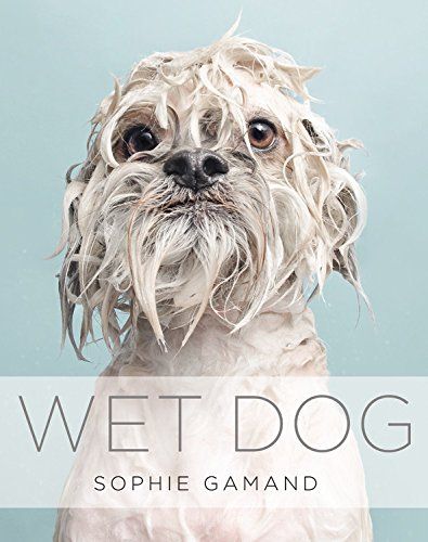 Wet Dog | Amazon (US)