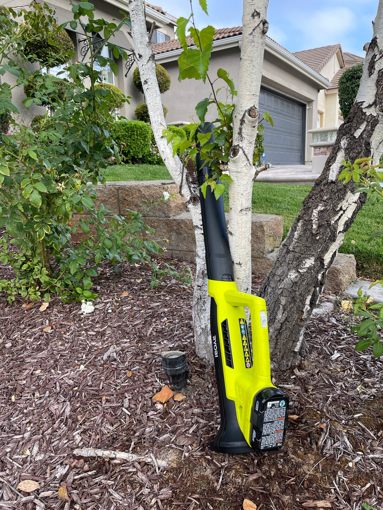 #LTKhome