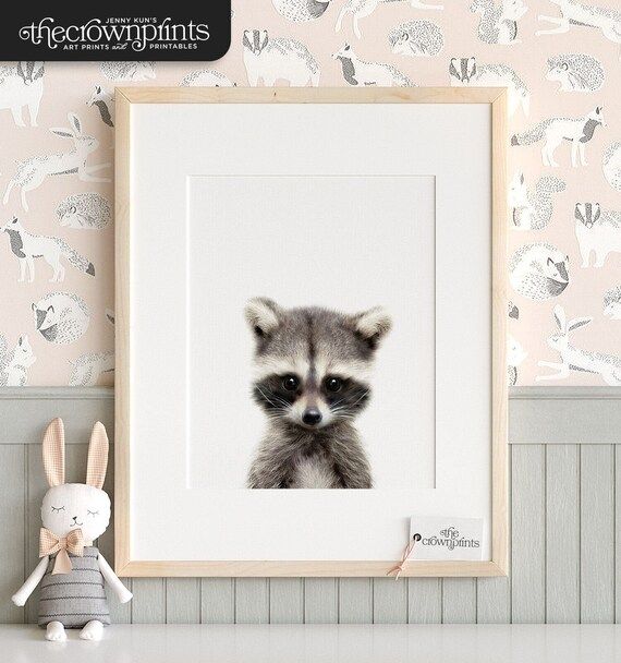 Nursery decor, Raccoon print, Woodland animals, PRINTABLE decor, Kids animal decor, Animal art, B... | Etsy (US)