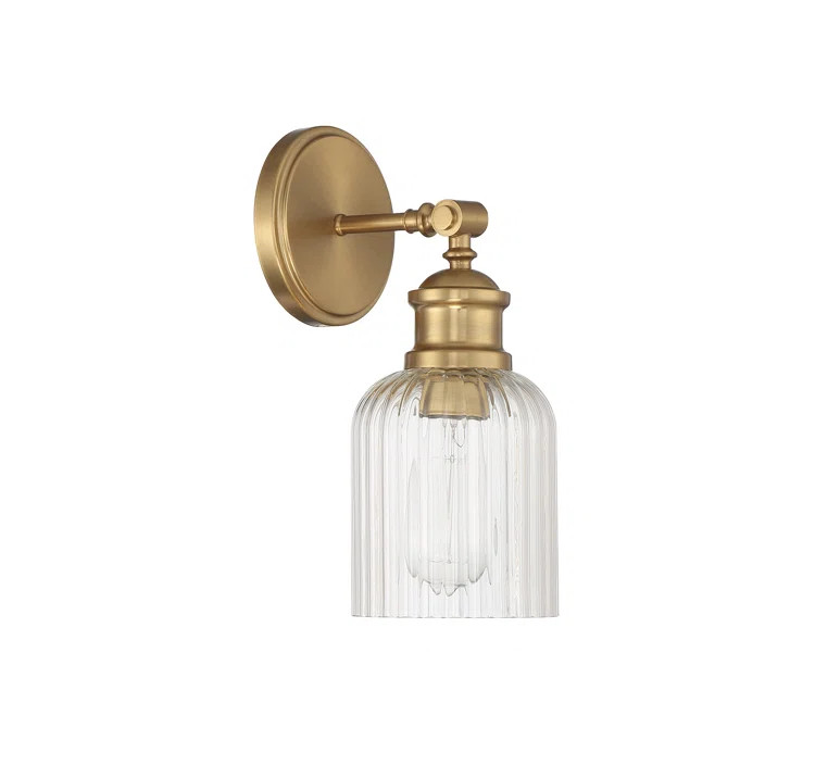 Ria Steel Armed Sconce | Wayfair North America