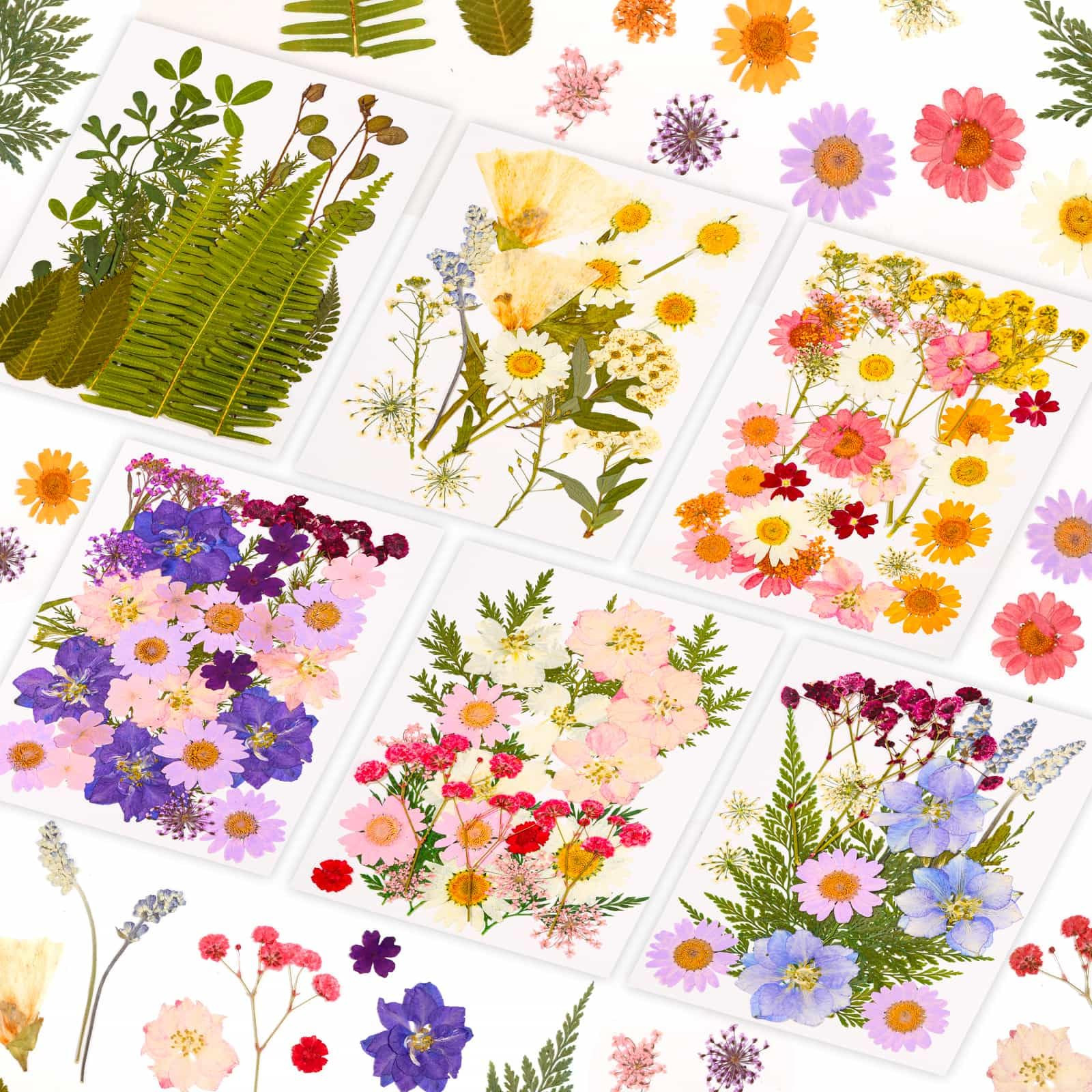 124 Pcs Dried Pressed Flowers for Resin Crafts, Real Pressed Wildflowers Natural Dry Leaves Bulk ... | Amazon (US)