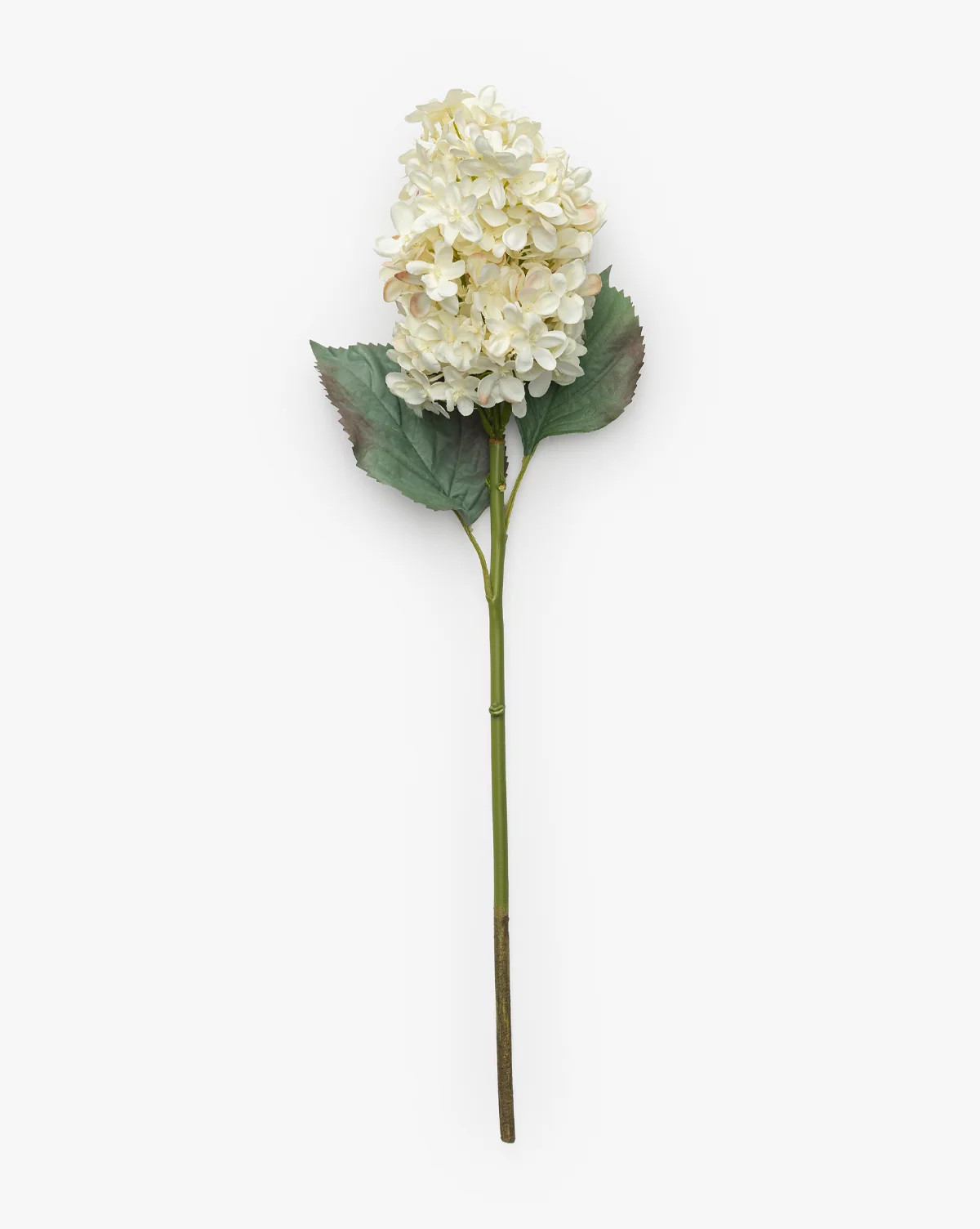 21" Cream Hydrangea | McGee & Co. (US)